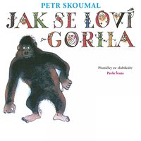 Pane Nováku - Petr Skoumal & Zuzana Hanzlová & Hana Horká