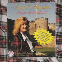 Farewell My Love - Ann Williamson