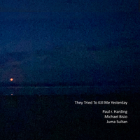 Hair Eyes Lips - Paul r. Harding & Michael Bisio & Juma Sultan