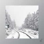 Остаёмся зимовать