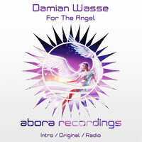 For The Angel - Damian Wasse