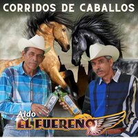 Caballo Alazan Lucero - Aldo "El Fuereno"