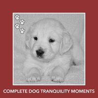 Effortless Heart - Dog Chill Out Music