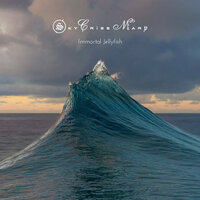 Immortal Jellyfish - Sky Cries Mary