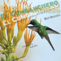 El Cumbanchero - MARK WEINSTEIN