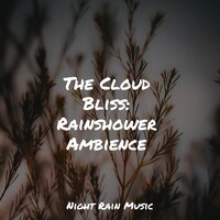 Tin Roof Rain - Sound of Rain & FX & Effects & Musica Relaxante