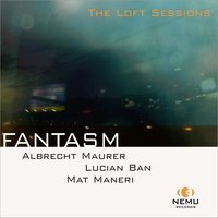 Elysium Planitia - Albrecht Maurer & Lucian Ban & Mat Maneri