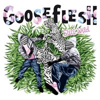 Still Wild - Gooseflesh