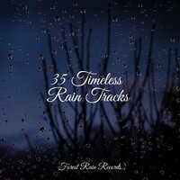 White Noise Splashing Rain Drops - Masters of Binaurality & Baby Lullabies Music & Anxiety Relief