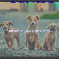 Атмосфера (Собаки) - Мягкий Музыка для собак