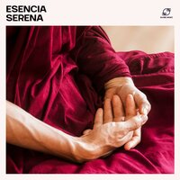 Música de Meditación para la Noche - Cuencos Tibetanos & Meditacion & Meditación Profunda Música & Chakra Meditación Música