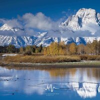 萧竹影 - 禅修音乐盒