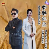 梦醉红尘 - 蜜蜂王子 & 宝树