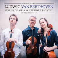 String Trio No.1 in E-Flat Major, Op. 3: VI. Finale - Allegro - Jeroen Suys & Diederik Suys & Frauke Suys & Ludwig van Beethoven