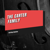 Darling Daisies - The Carter Family