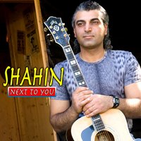 Sultans of Swing - Shahin