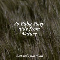 Warmer Sands - Academia de Música para Massagem Relaxamento & Musique Zen Garden & Calm shores
