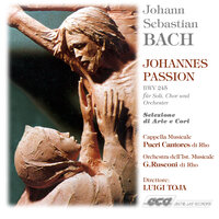 Johannes Passion, Op. 123, BWV 245: Ach, mein Sinn, wo willst du endlich hin - Luigi Toja & Cappella Musicale Pueri Cantores di Rho & Istituto Musicale G.Rusconi & Johann Sebastian Bach