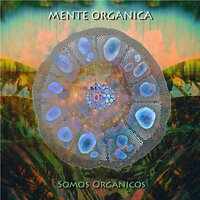 Taita Inti - Mente Organica