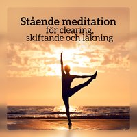 Kombinerad meditation - Lugn Musik Atmosfär