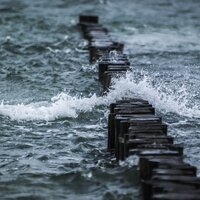 Playing Winds - deep sleep music collective & Entspannungsmusik & Relaxation Meditation Songs Divine