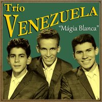 Porque Te Quise Tanto - Trío Venezuela