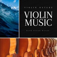 Fractions - Violin Nature
