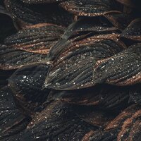 Relajación De Sol De Primavera - Meditacionessa & Masaje Tantrico Musica Colección & Musica Relajante Para Estudiar