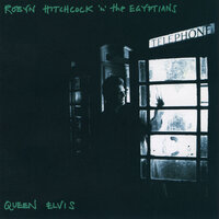Swirling - Robyn Hitchcock