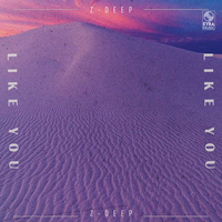 Like You - Z-DEEP