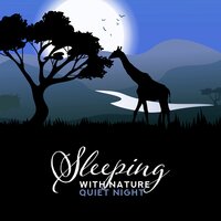 Find Your Zen - Sleeping Music Zone