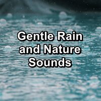 Forest Rain and Nature Sounds Loopable for 20 Hours - Relaxing Spa Music & Spa, Relaxation and Dreams & Spa Music Collective