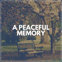 Memories of the Past, Pt. 8 - Musique Zen