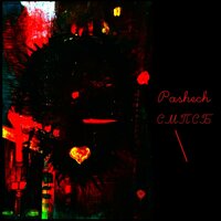 СМПСБ 06 - Pashech