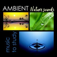 Night Sounds (Ambient Piano Music) - Exam Study Nature Music Nature Sounds
