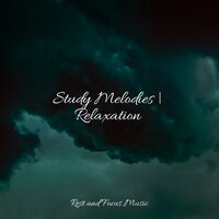 Moonlight Melody - Namaste Healing Yoga & Deep Sleep Systems & Deep Sleep