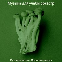 Настроения (Концентрация) - Музыка для учебы оркестр