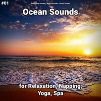 Ocean Sounds Pt. 31 - Sea Waves Sounds & Nature Sounds & Ocean Sounds