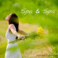 Shakuhachi Flute (Japanese Music) - Spa & Spa