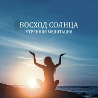 Расслабляющие звуки леса - Академия Глубокой Релаксации