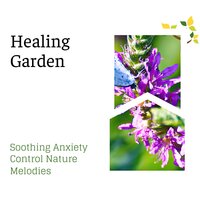 Refreshing Morning - Spa Zen Melodies & Spa Music Relaxation