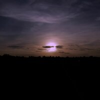 Distant Whales Singing a Song of the Deep as the Sun Sets Over the Horizon - nøave