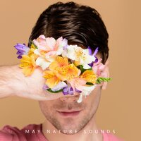 Cold May Chirps - Sound Therapy Masters