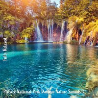 Plitvice National Park Daytime Nature Sounds, Pt. 18 - Steve Brassel