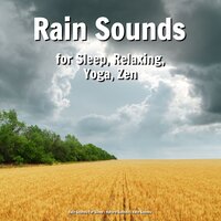 Unwinding Impulses - Nature Sounds & Rain Sounds & Rain Sounds For Sleep