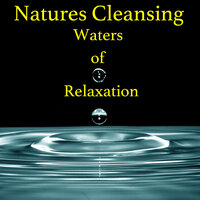 Rainforests Life Giving Water - Casey Adams