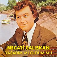 Çalışkan Oyun Havası - Necati Çalışkan