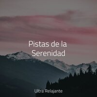 Terapia de Relajación - Musica Para Meditar & El hada de las canciones de cuna & Mantra para Dormir