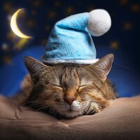 A Soft Walk In The Park - Music for happiness & Comfort in Pets & Blissful Pet Time
