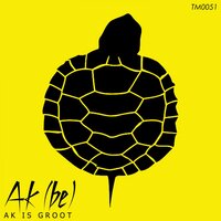 System of a Down - Ak (BE)